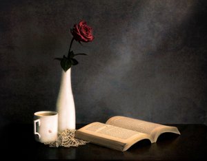 Rose Coffee Book – Stilleben