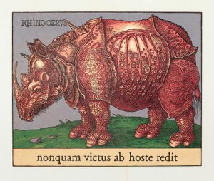 Red Rhino, 2007 (träsnitt) av Jim Monson