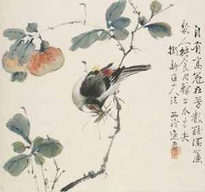 En kinesisk Hwamei som äter en gräshoppa, 1857