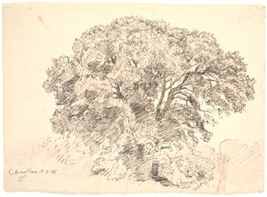 Studie av träd. Classens trädgård av Joakim Frederik Skovgaard