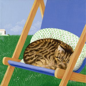 Tabby katt sover i en solstol