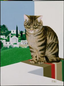 Tabby katt i fönstret