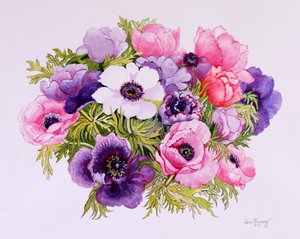 Anemoner,2001,akvarell på handgjort papper av Joan Thewsey