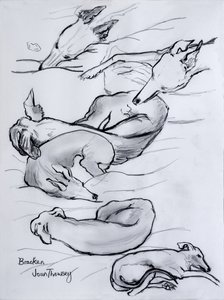 Bracken, the whippet, 2000, (penna) av Joan Thewsey