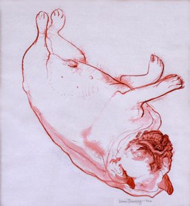 Hogarth Sleeping, 2005, (bläck på vått papper) av Joan Thewsey