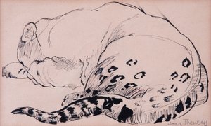Sketch, Leopard, London Zoo 2005, (penna och bläck) av Joan Thewsey
