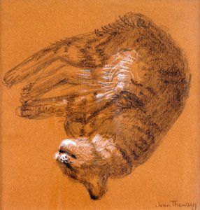 Sleeping Tabby Cat, 2005, (grafit och vit pastell) av Joan Thewsey