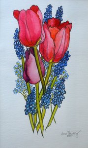 Tulpaner, muscari och förgätmigej, 2002, av Joan Thewsey