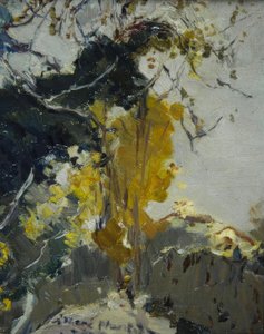 Baum av Joaquim Mir i Trinxet