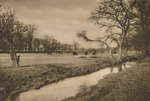 Där Beverley Brook slingrar sig genom Royal Hunting Park of Richmond, c1935.