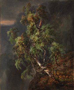 Björkträd i storm av Johan Christian Dahl