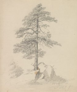 Tallar och klippor av Johan Christian Dahl