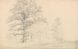 Lövträd av Johan Christian Dahl