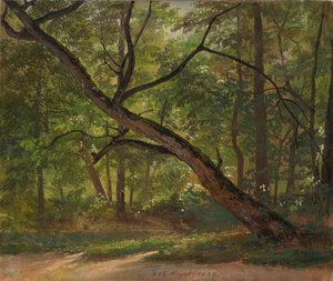 Parti i Stora trädgården vid Dresden av Johan Christian Dahl