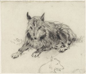 Liggande fårhund