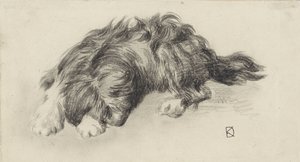 sovande hund