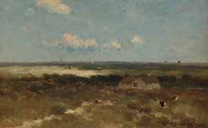 Dune landskap