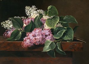 Lila på en avsats, av Johan Laurents Jensen