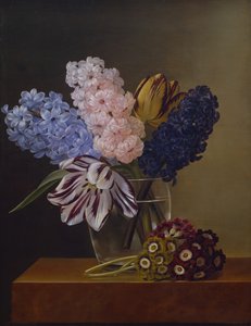 Tulpaner, hyacinter och violer