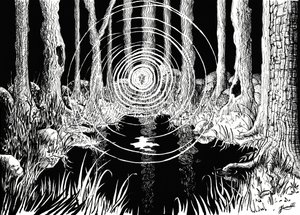Mystiska skogsvågor av Johan Liewendahl