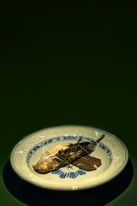 Fågelplatta, 2015 (fotografi) av Johan Lilja