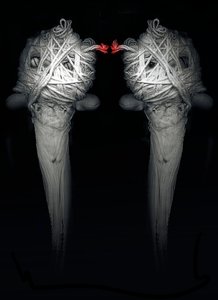 Brothers, 2013 (fotografi) av Johan Lilja