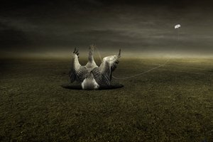 Hjälp på vägen, 2013 (fotografi) av Johan Lilja
