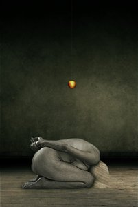 Hide my self, 2013 (fotomanipulation) av Johan Lilja