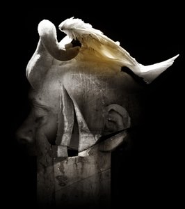 Swan, 2013 (fotografi) av Johan Lilja
