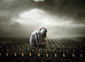 Tulip thief, 2013 (fotografi) av Johan Lilja