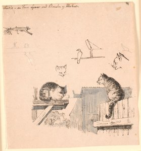 De två katterna. F.o. studier av katthuvuden, en fågel, en kattöra och strålarbete. Illustration till Kaalunds "Fabler för barn". Se kommentar från arkkatalog. av Johan Thomas Lundbye