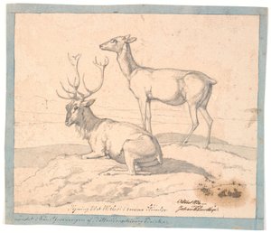 En liggande hjort och en stående hind av Johan Thomas Lundbye