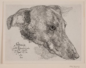 Hundehoved, Snip av Johan Thomas Lundbye
