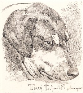 Hundehoved, Terry av Johan Thomas Lundbye