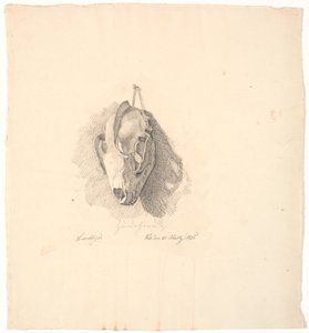 Hundskalle av Johan Thomas Lundbye