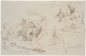 Studietidning från Vognserup. T. v. en herde (gamle Rasmus Larsen) som sitter med en hund vid en led. F.o.t.h. en landskapsstudie med ortnamn. Inklusive två grisar. T.h.m.f. studie av vass i en sjö. Inklusive en kunglig ljusplanta och studie av en sugga av Johan Thomas Lundbye