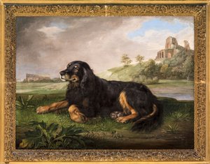 Porträtt av "Tawney", den 6:e hertigens spaniel, med Palatinen bortom