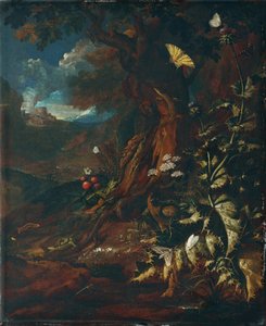 Landskap med reptiler och insekter (I) av Johann Adalbert Angermayer
