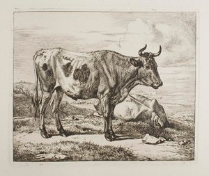 Boskap på fältet av Johann Adam Klein
