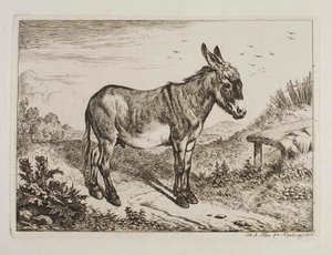 Åsna av Johann Adam Klein