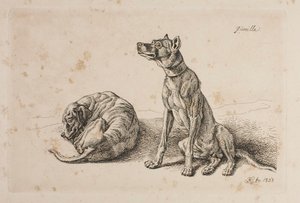 Gerilla, två hundar av Johann Adam Klein