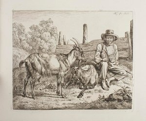 Herde med getter av Johann Adam Klein