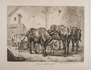 Ungerska bufflar och får av Johann Adam Klein