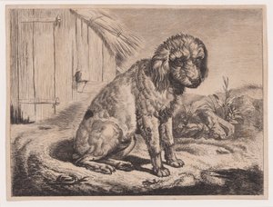 Sittande hund av Johann Adam Klein