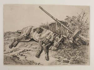 Sovande hund av Johann Adam Klein