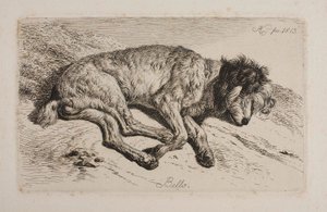Sovande hund, Bello av Johann Adam Klein