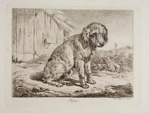 Pudeln Fripon av Johann Adam Klein