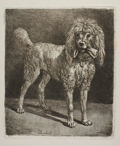 Pudeln Schwalerl av Johann Adam Klein