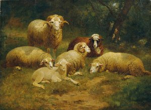 får av Johann Baptist Hofner