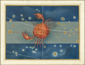Cancer - Johann Bayer av Johann Bayer